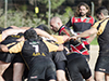 thumb_DSC_6572.jpg